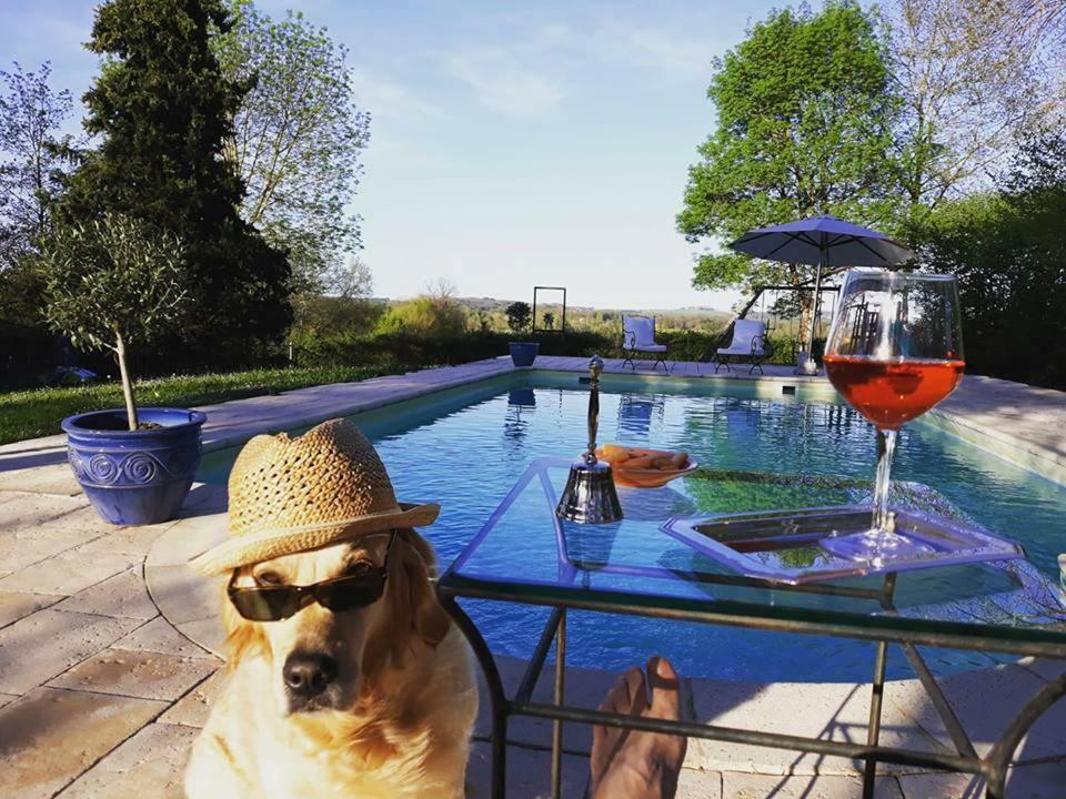 Domaine Du Merlot Sainte-Sabine-Born Dış mekan fotoğraf